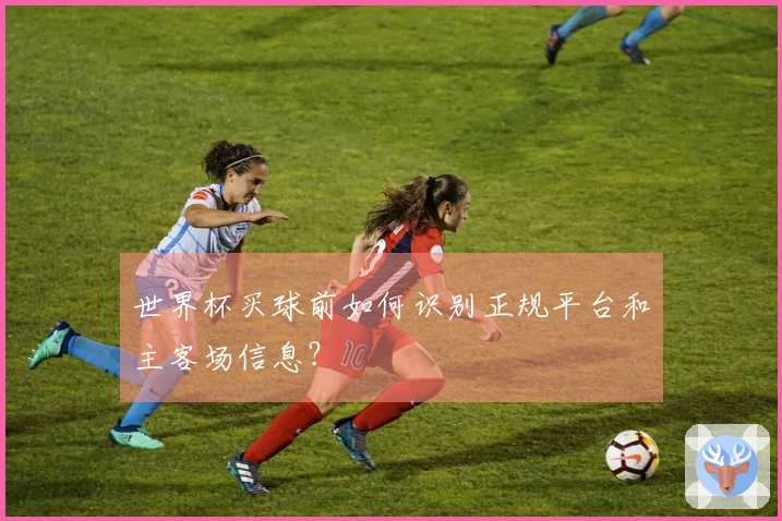 世界杯买球前如何识别正规平台和主客场信息？
