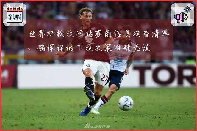 世界杯投注网站赛前信息核查清单,确保你的下注决策准确无误