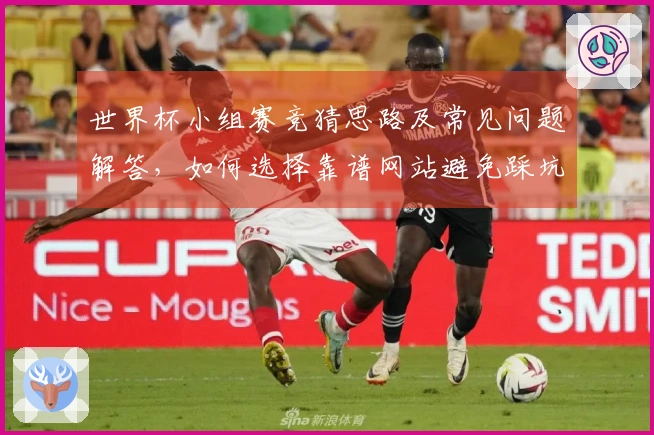 世界杯小组赛竞猜思路及常见问题解答，如何选择靠谱网站避免踩坑