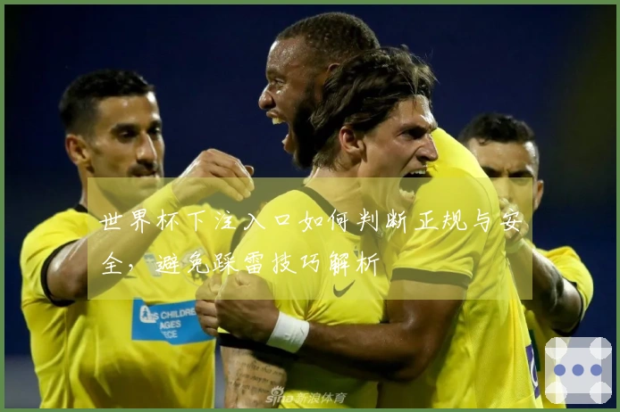 世界杯下注入口如何判断正规与安全，避免踩雷技巧解析