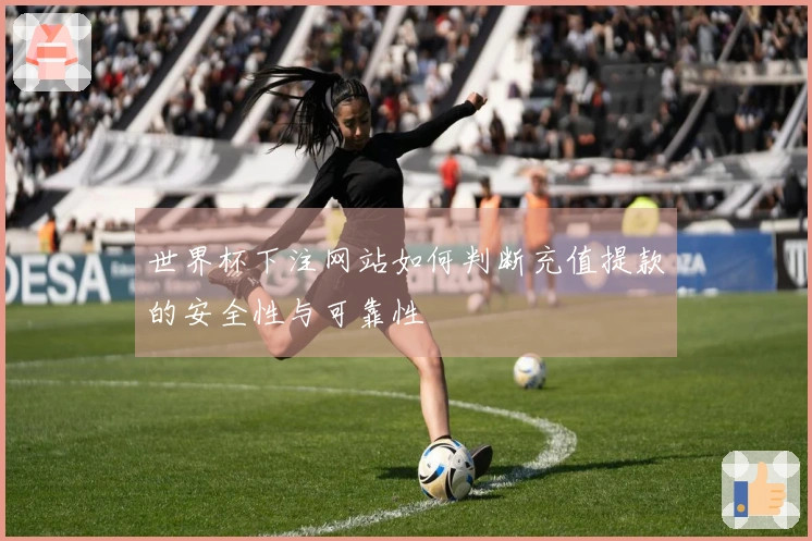 世界杯下注网站如何判断充值提款的安全性与可靠性