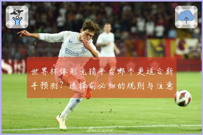 世界杯体彩竞猜平台哪个更适合新手预测？选择前必知的规则与注意事项