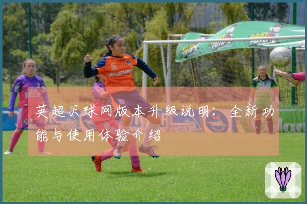 英超买球网版本升级说明：全新功能与使用体验介绍