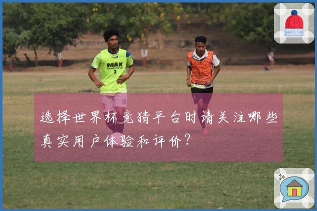 选择世界杯竞猜平台时请关注哪些真实用户体验和评价？