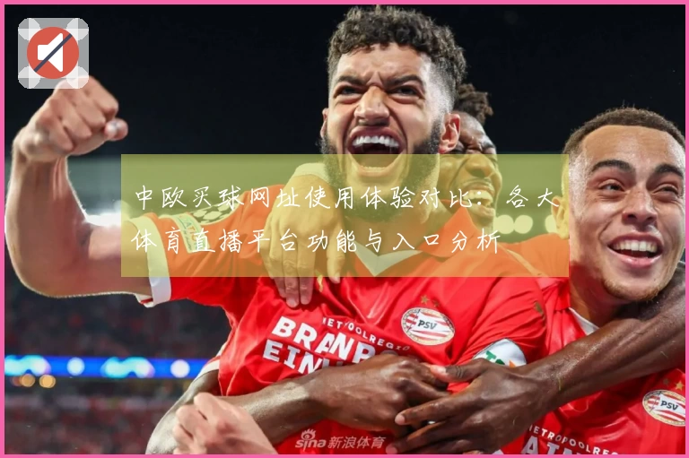 中欧买球网址使用体验对比：各大体育直播平台功能与入口分析