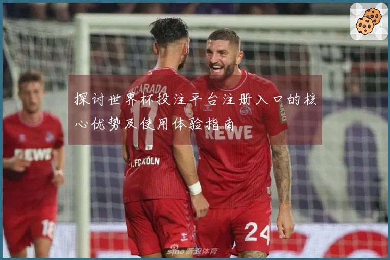 探讨世界杯投注平台注册入口的核心优势及使用体验指南