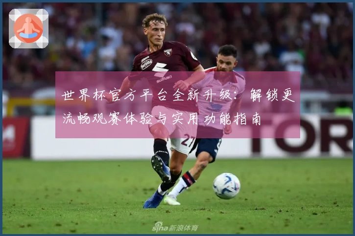 世界杯官方平台全新升级：解锁更流畅观赛体验与实用功能指南