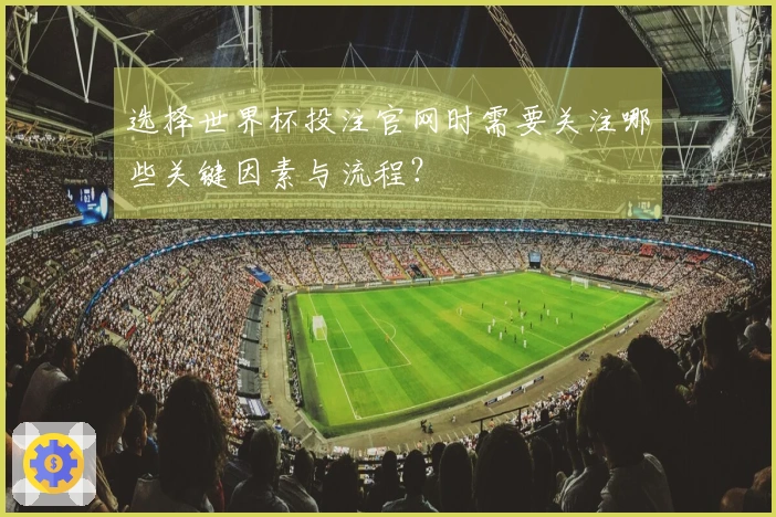 选择世界杯投注官网时需要关注哪些关键因素与流程？