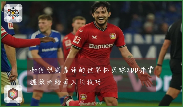 如何识别靠谱的世界杯买球app并掌握欧洲赔率入门技巧